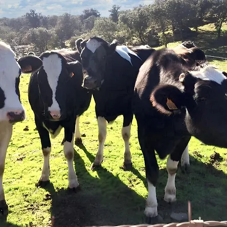 펜션 Welcoming House In With Shared Pool Alcaracejos